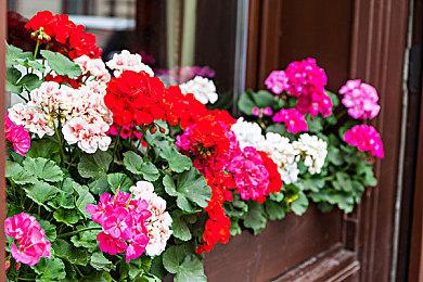 《高达破坏者4》新DLC公开 海牛高达等确定参战